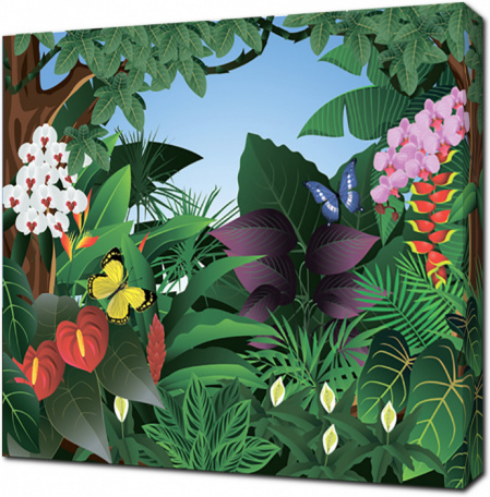 Тропические орхидеи и растения
