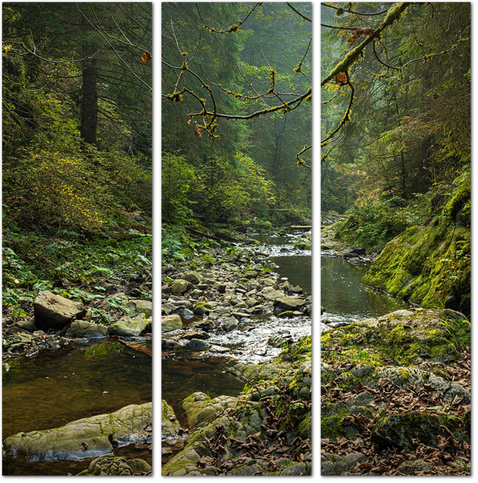 Тихая речка в немецком лесу