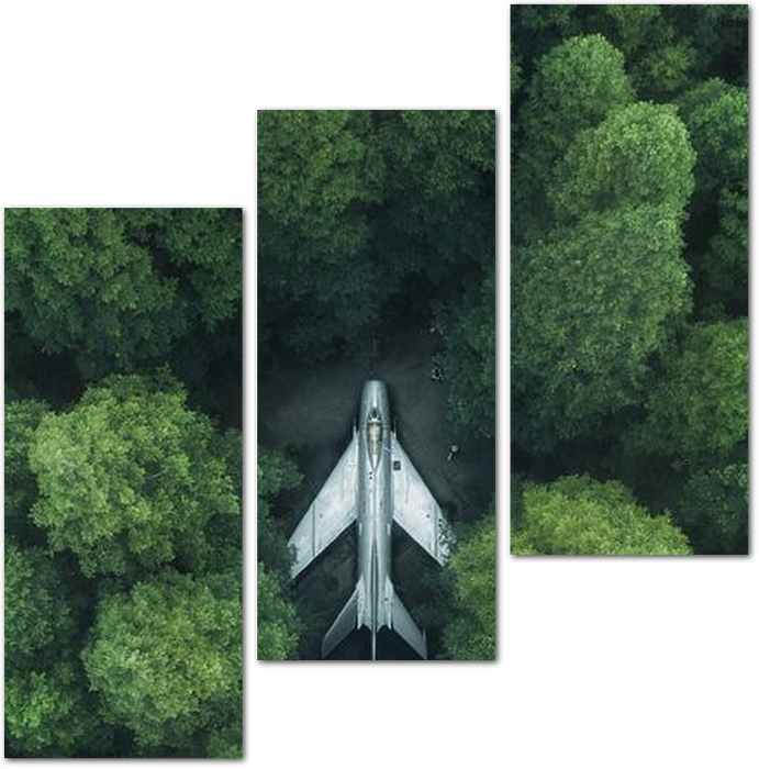 Самолет укрытый среди деревьев