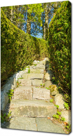 Каменная лестница в саду