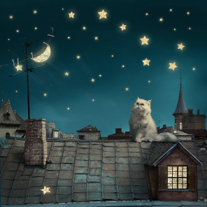 Кот на крыше дома под луной