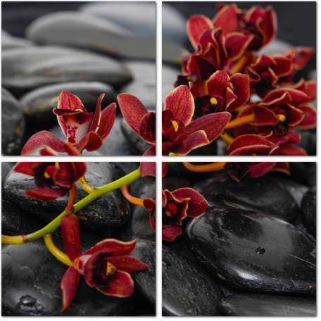 Ветка красной орхидеи на черных камнях