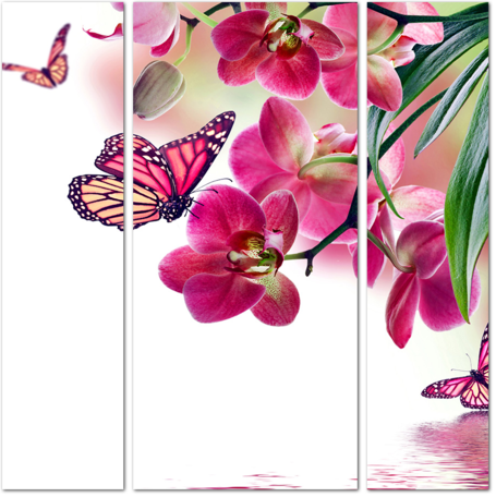 Бабочки на цветах сиреневой орхидеи