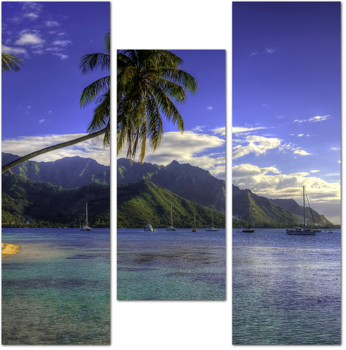 Французская Полинезия. Пейзаж гор и моря с пальмами