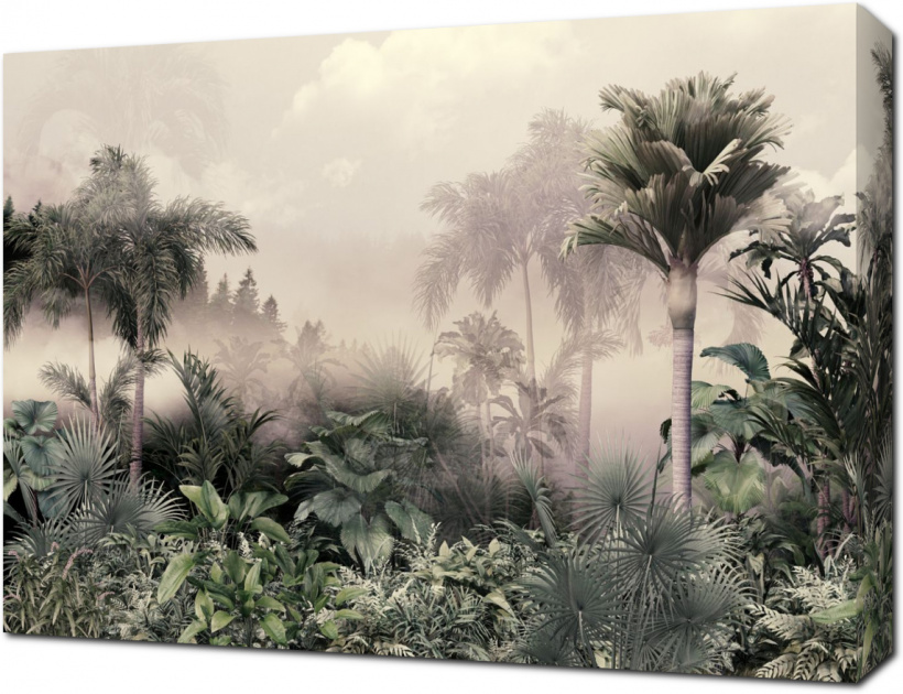 Предрассветный туман в джунглях