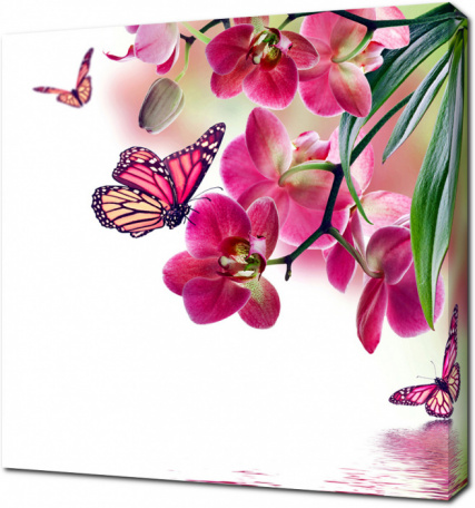 Бабочки на цветах сиреневой орхидеи