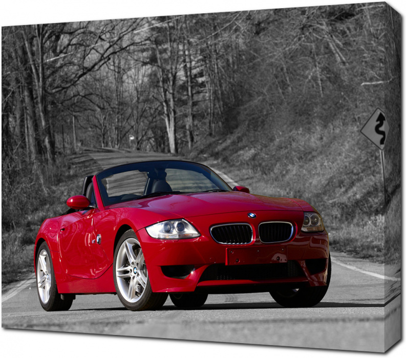 BMW Z4 на дороге