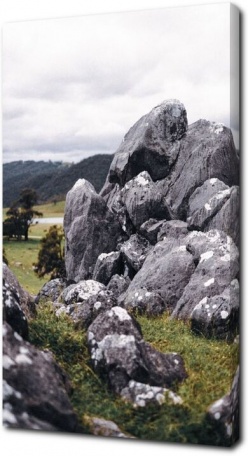 Крупные камни в траве