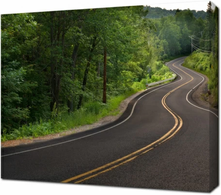 Автодорога сквозь лес