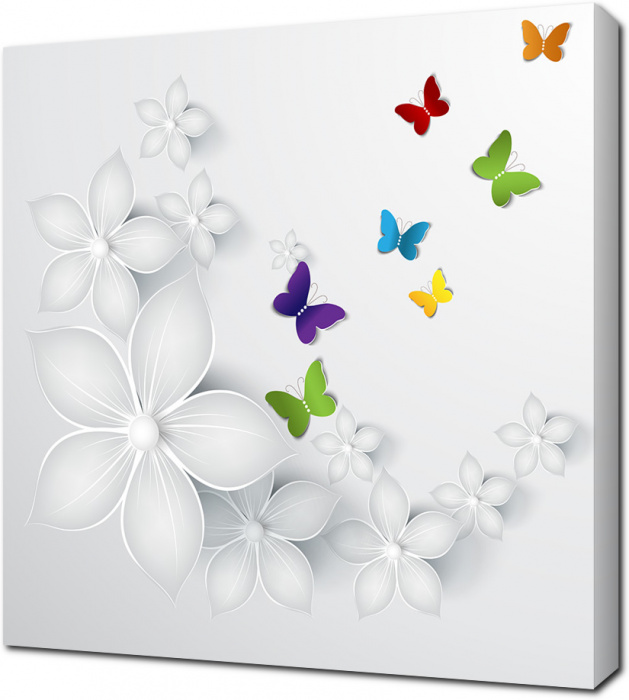 3D Белые цветы и цветные бабочки
