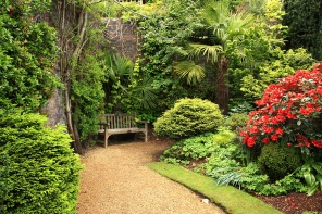 Скамейка в весеннем саду