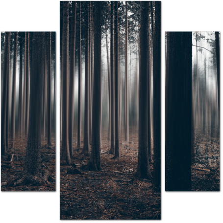 Оглушительная тишина леса