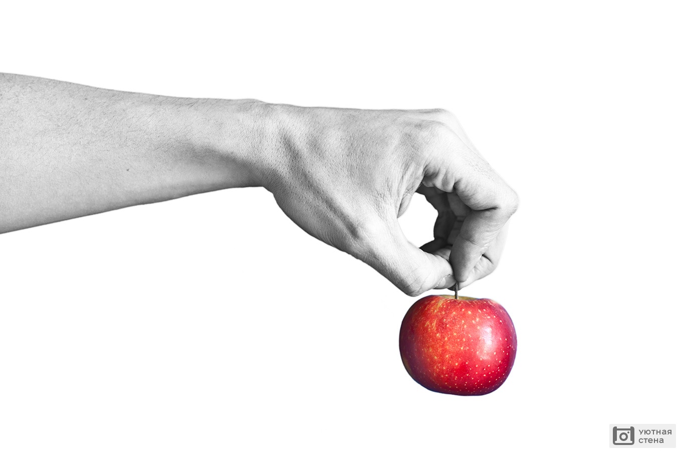Огрызок яблока в руке