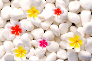 3D пол Белые камни и цветы