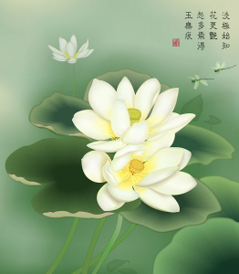 Белые цветки лотоса