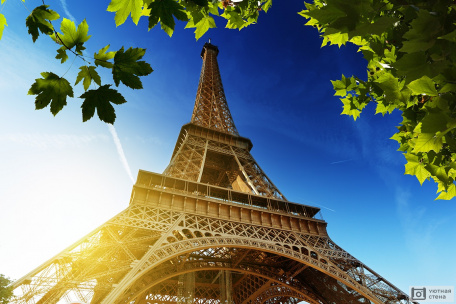 Блики солнца на Эйфелевой башне. Париж. Франция