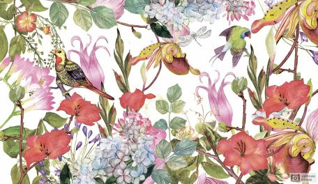 Цветы и птицы