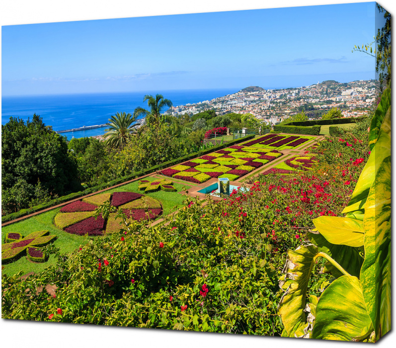 Ботанический сад в городе Фуншал. Остров Мадейра. Португалия