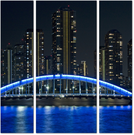 Мост Эитаи в Токио. Япония