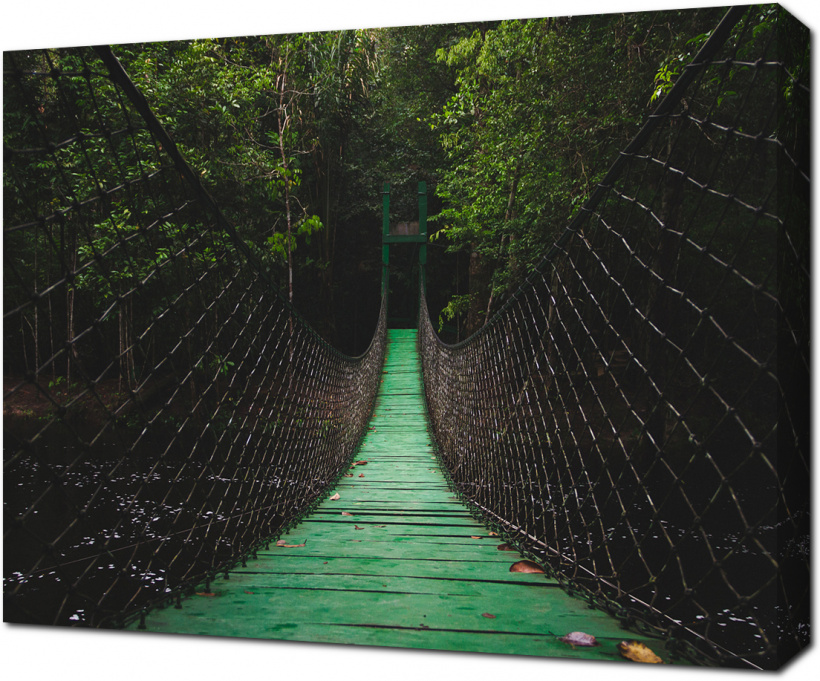 Зеленый подвесной мост