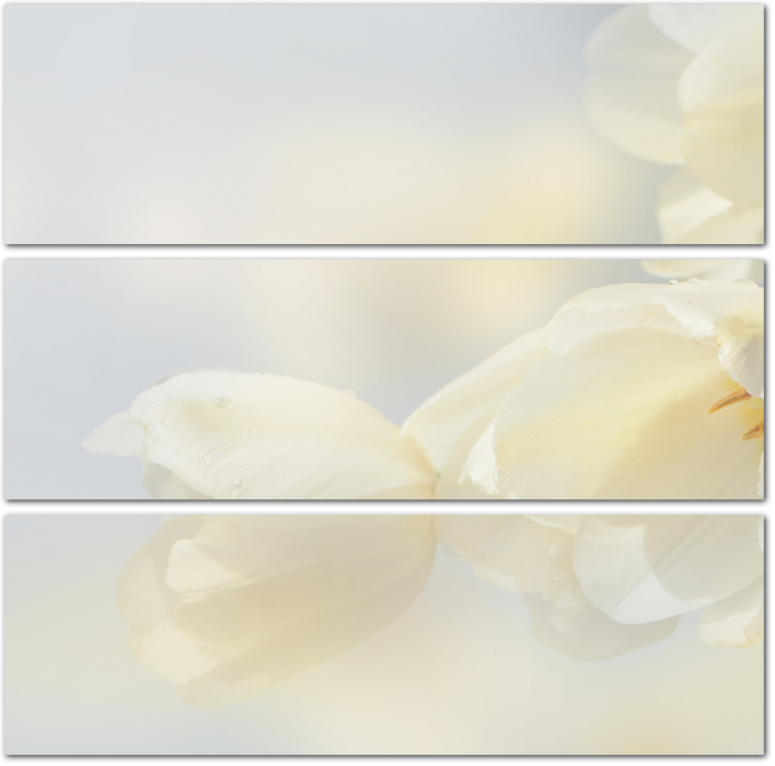 Невесомые белые тюльпаны