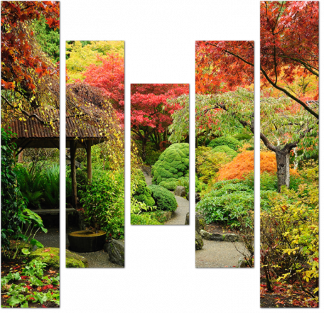 Яркий японский сад осенью