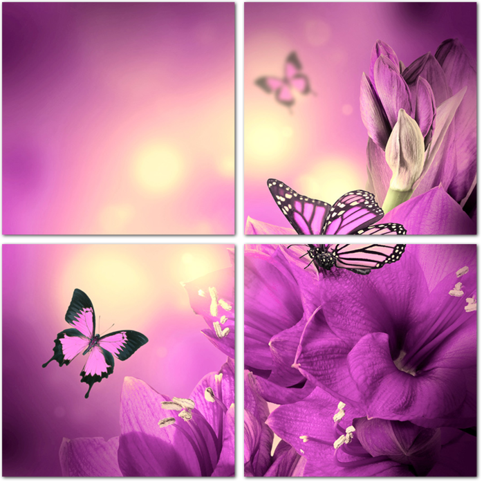 Бабочки на сиреневых цветах