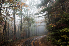 Осенняя дорога в тумане