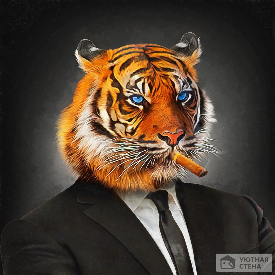 Тигр в костюме