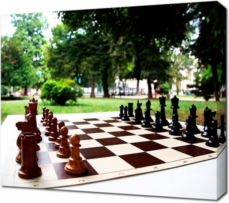 Летняя игра в шахматы