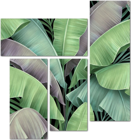 Роскошные тропические листья