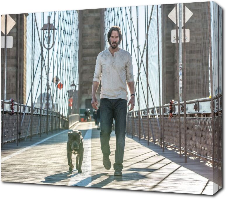 Джон Вик с собакой на мосту