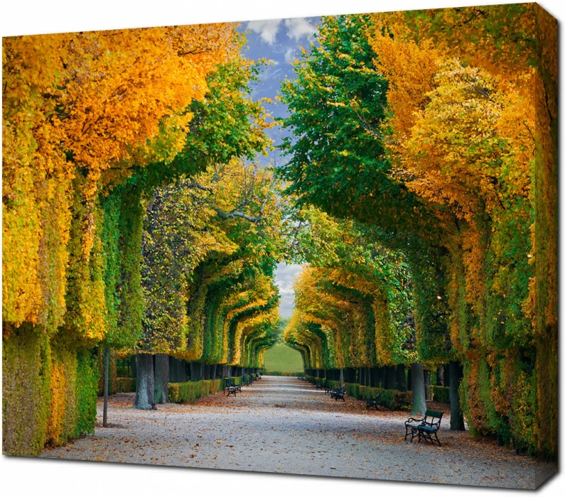 Яркая аллея в осеннем парке