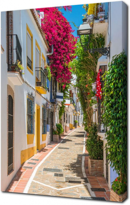Цветущая улица в Испании