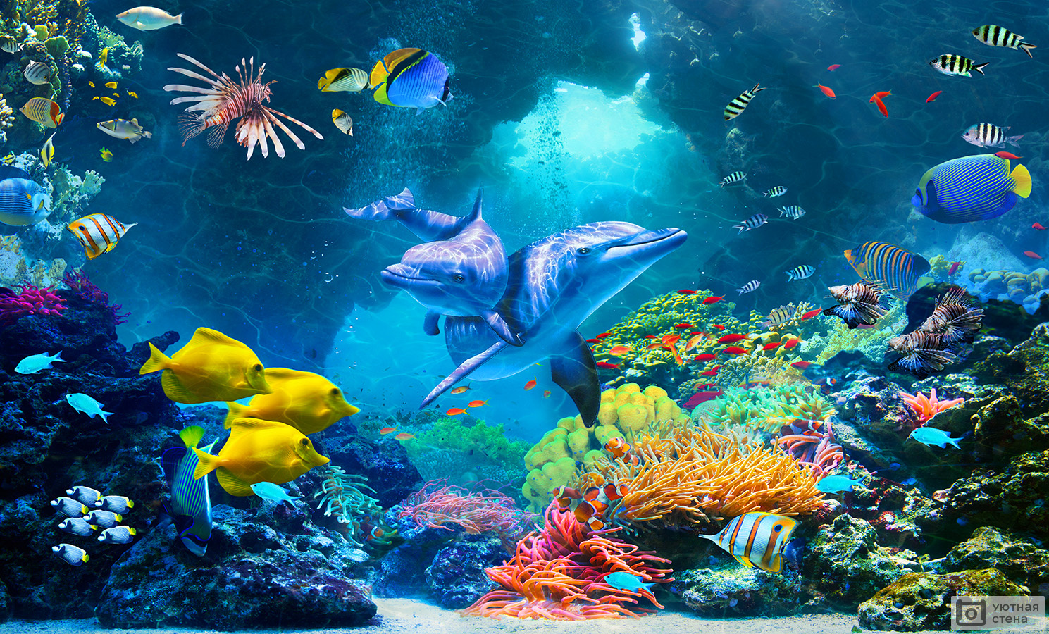Крупнейшая в мире выставка подводной фотографии на Moscow Dive Show