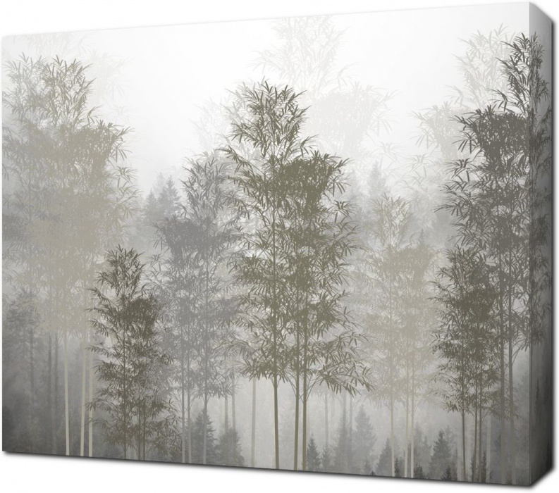 Силуэты деревьев в тумане