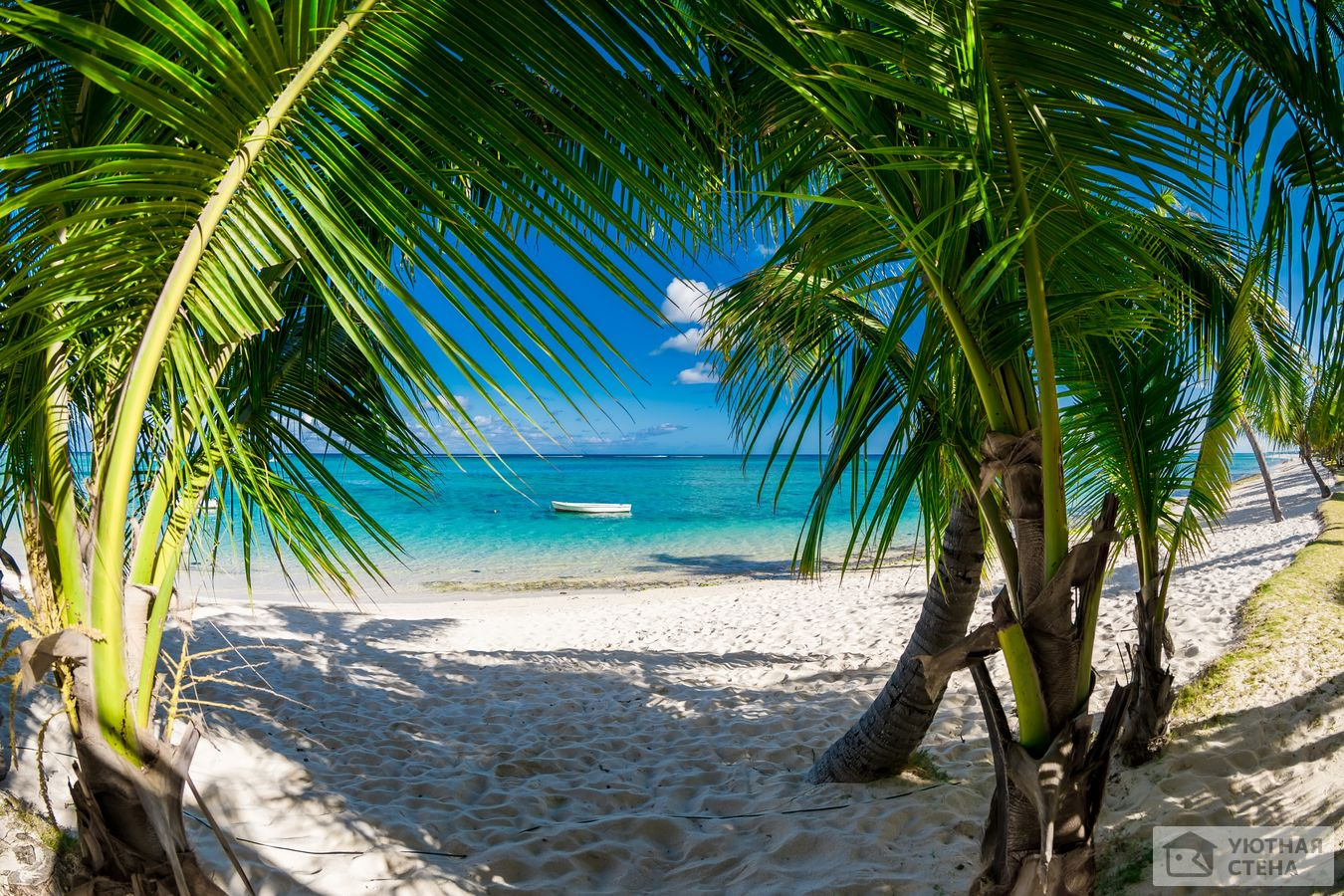 Тропический пляж, Доминикана