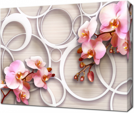 Орхидеи 3D на объемном фоне
