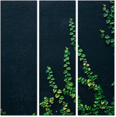Стена украшенная зелеными листьями