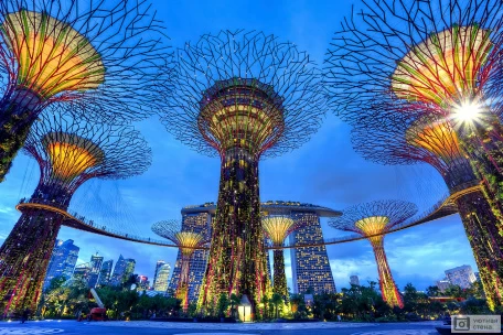 Футуристические сады в ночном Сингапуре
