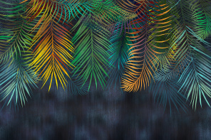Желто-зеленые листья пальмы на темном фоне