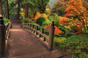 Деревянный мостик в осеннем лесу