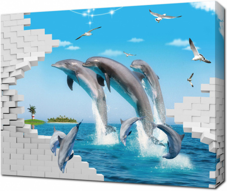 3D Дельфины и чайки