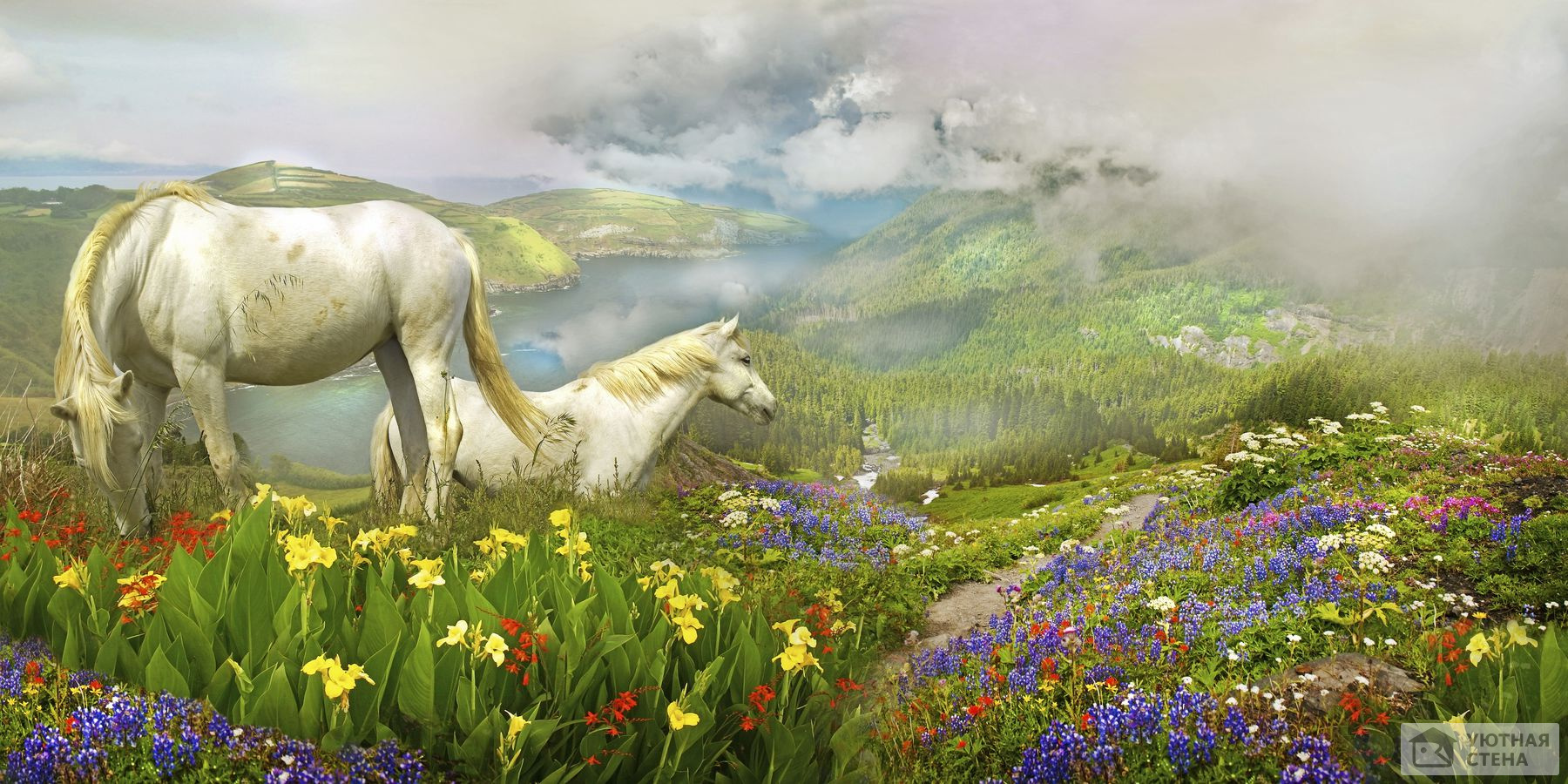 Белые лошади на цветочном лугу