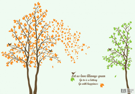 Осенние и летние деревья