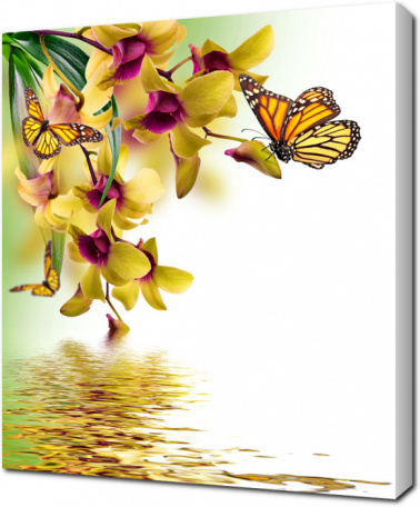 Бабочки на жёлтых орхидеях