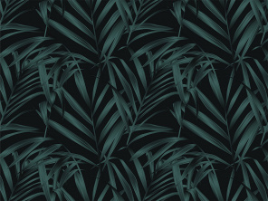 Темно-зеленые листья пальмы на черном фоне