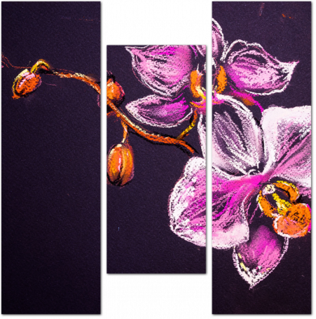 Рисунок орхидей на картоне