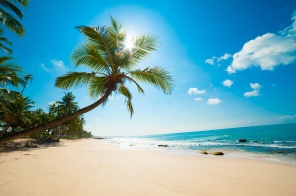 Тропический пляж в Шри-Ланке