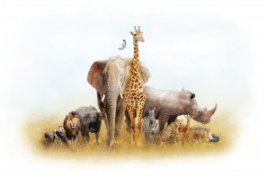 Многообразие животных Африки